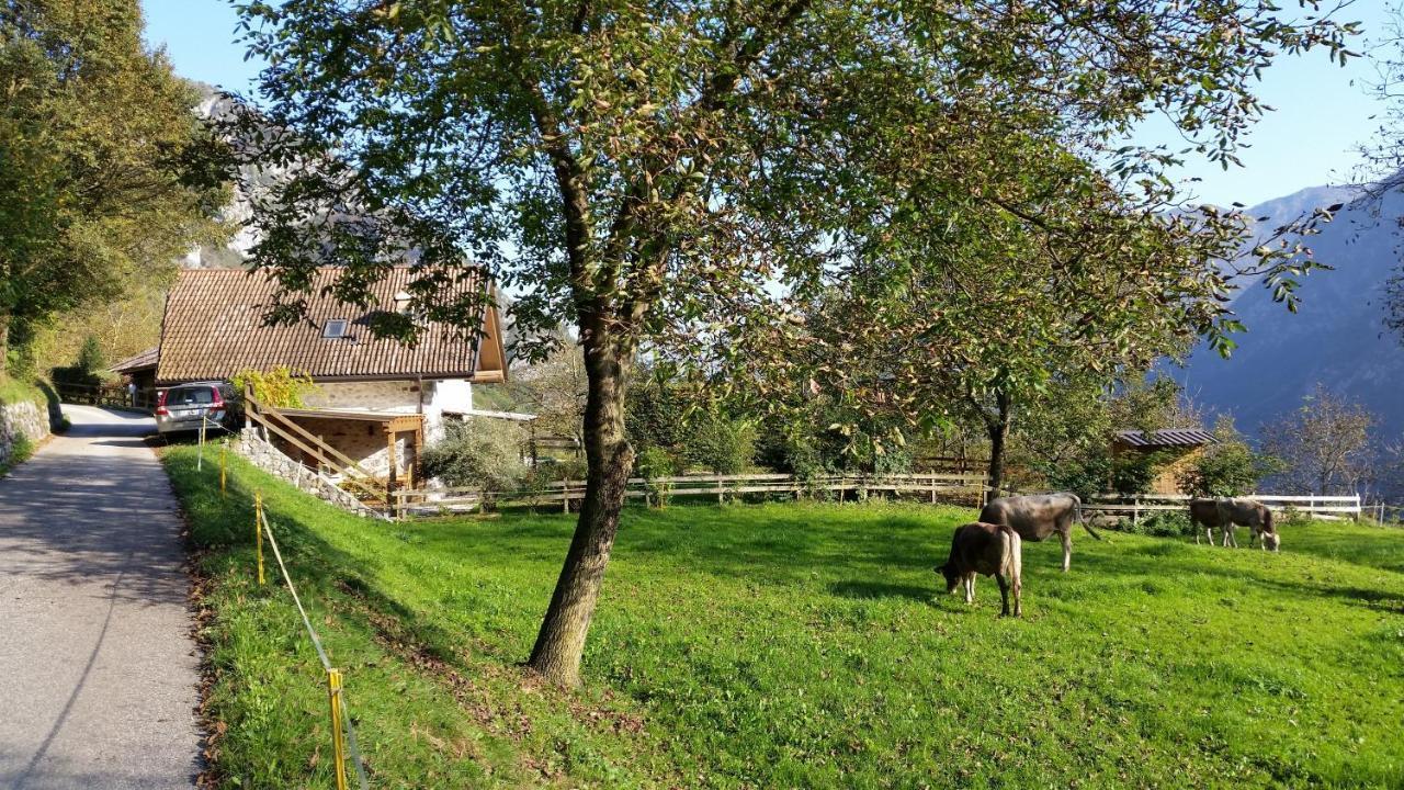 Chalet La Nos Molina di Ledro Chambre photo